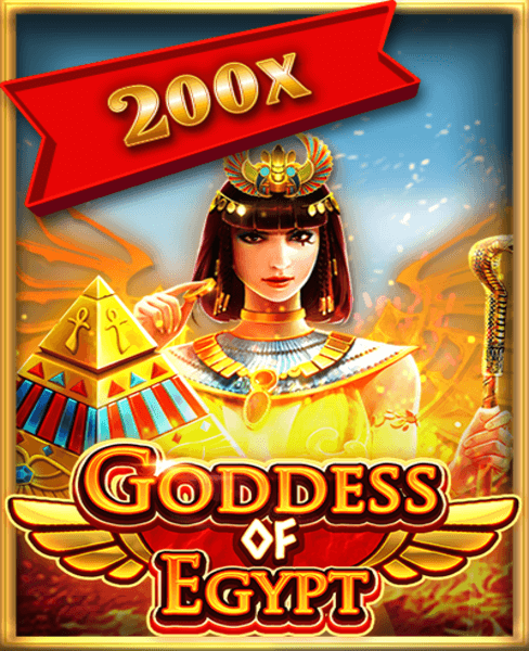 PrimeCasino Promotions: Maximize Your Winnings This Month